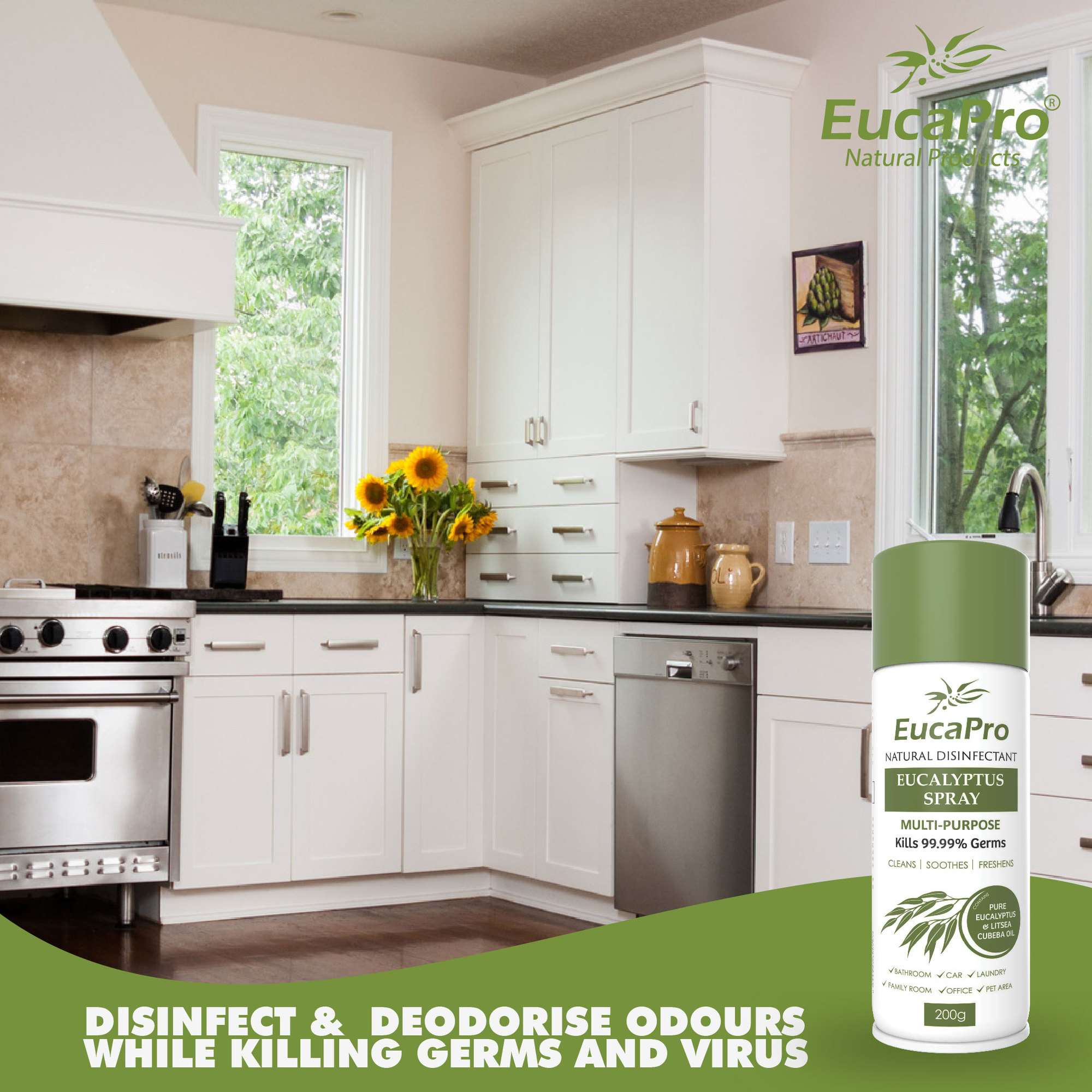 Kill Bacteria Products Malaysia Eucapro Antibacterial Disinfectant Eucalyptus Spray